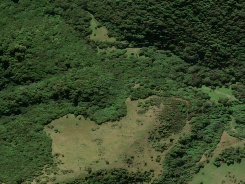 aerial view of Kelcey's Bush Tracks and the ground around it