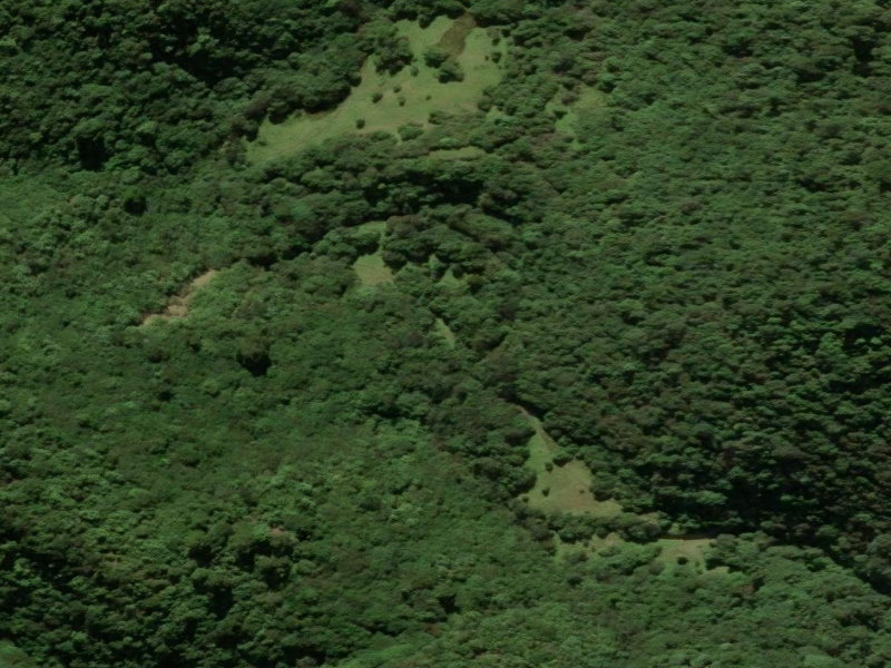 aerial view of Kelcey's Bush Tracks and the ground around it