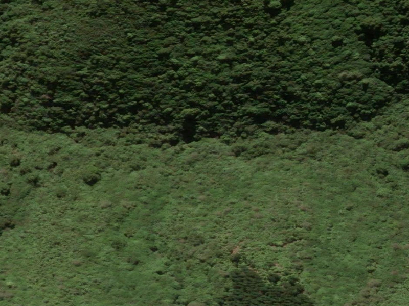 aerial view of Gunns Bush Track and the ground around it