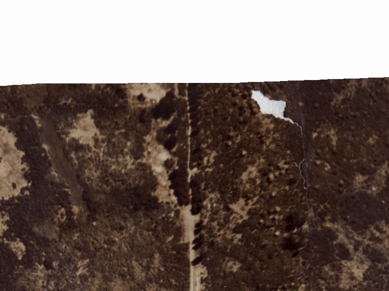 454 Bower Avenue from the air, 1925-1929