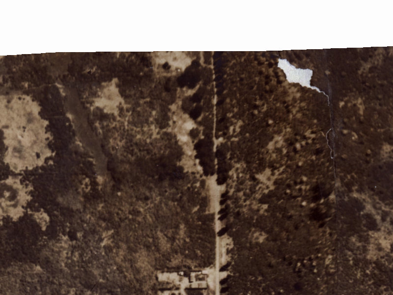 441 Bower Avenue from the air, 1925-1929