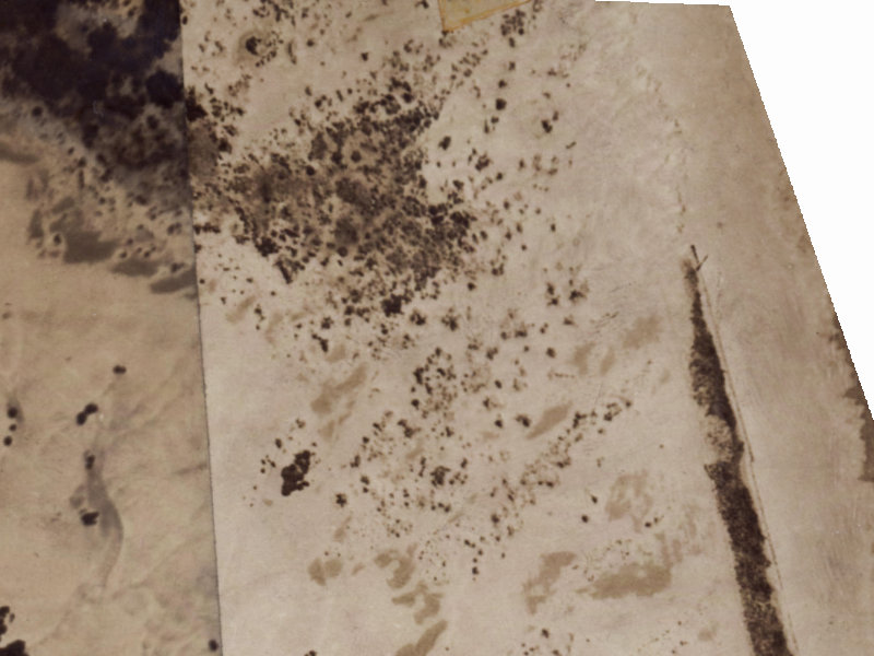 5 Cockle Lane from the air, 1925-1929