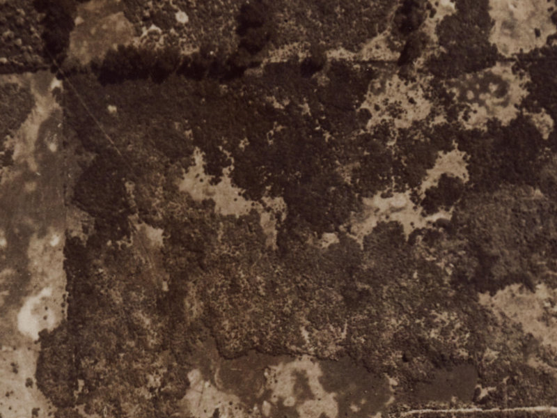 8 Aberfoyle Place from the air, 1925-1929