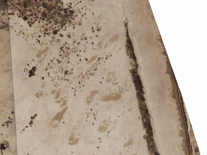 7 Ballance Street from the air, 1925-1929