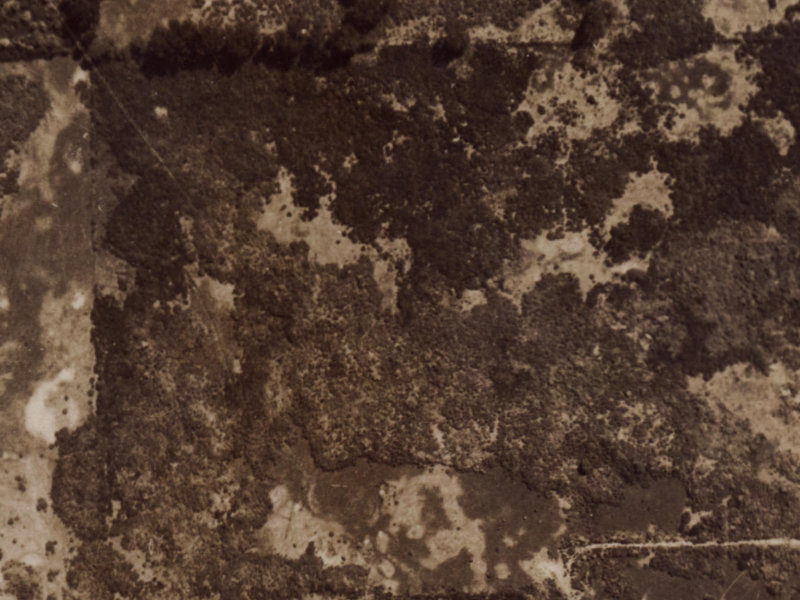 39 Aberfoyle Place from the air, 1925-1929