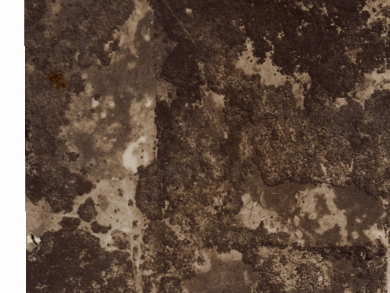 16 Arden Place from the air, 1925-1929