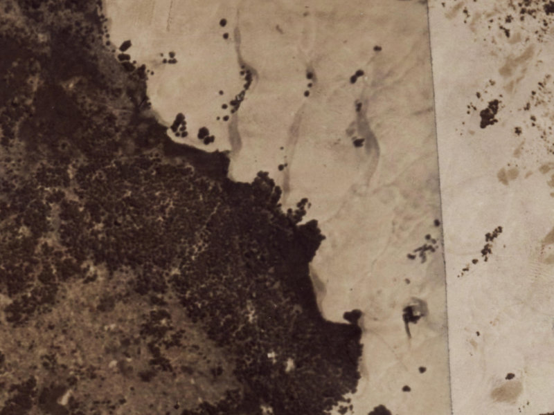 Cordyline Place from the air, 1925-1929