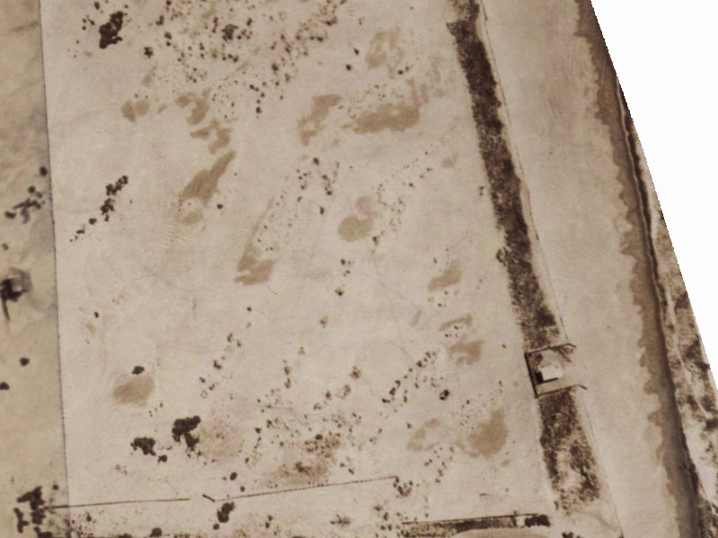 8 Larnach Street from the air, 1925-1929