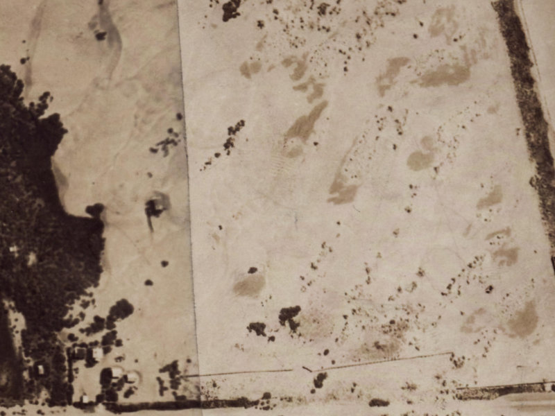 11 Larnach Street from the air, 1925-1929