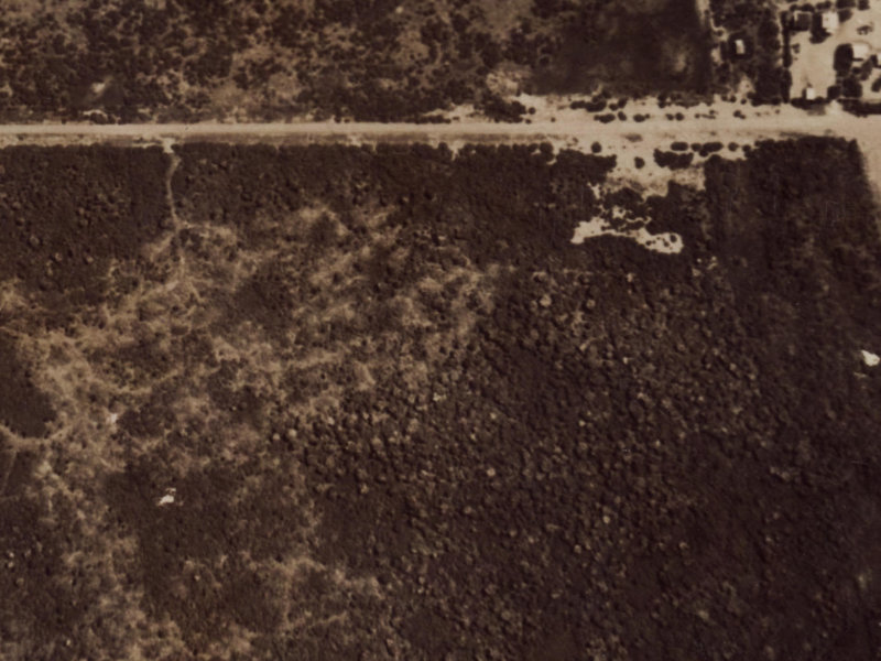 5 Pegasus Avenue from the air, 1925-1929