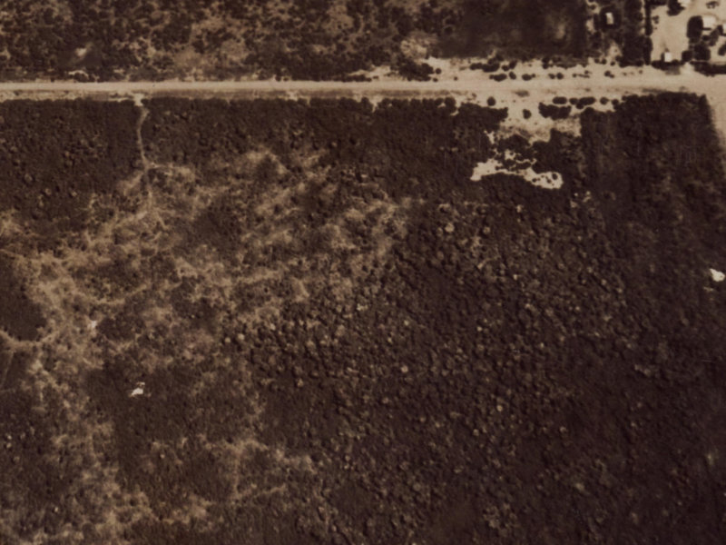 5A Pegasus Avenue from the air, 1925-1929