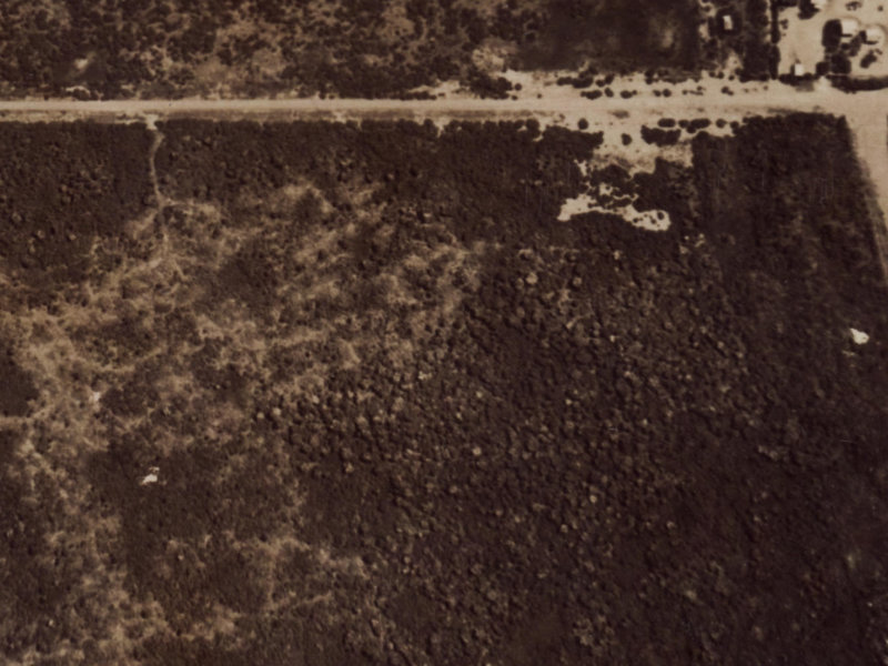 129 Effingham Street from the air, 1925-1929