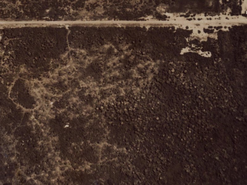 7 Pegasus Avenue from the air, 1925-1929