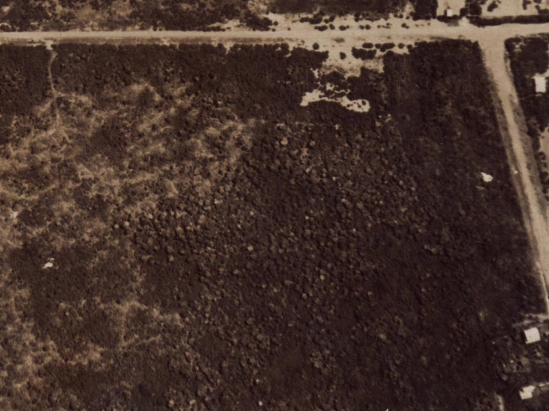 124 Effingham Street from the air, 1925-1929