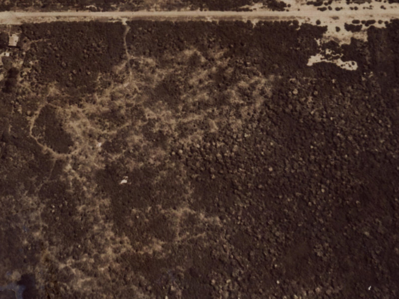 44 Royalist Avenue from the air, 1925-1929