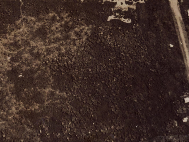 122 Effingham Street from the air, 1925-1929