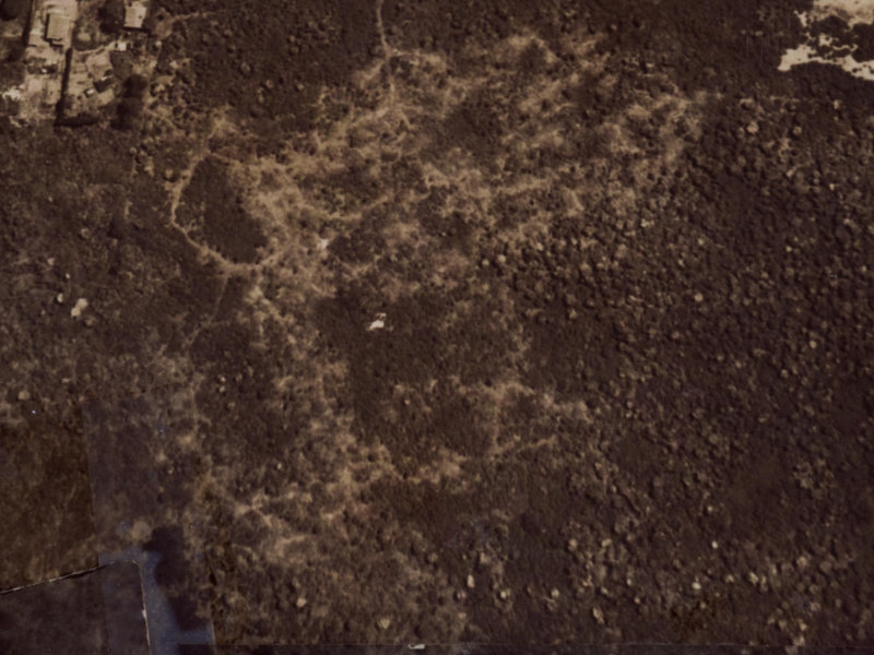 51 Royalist Avenue from the air, 1925-1929