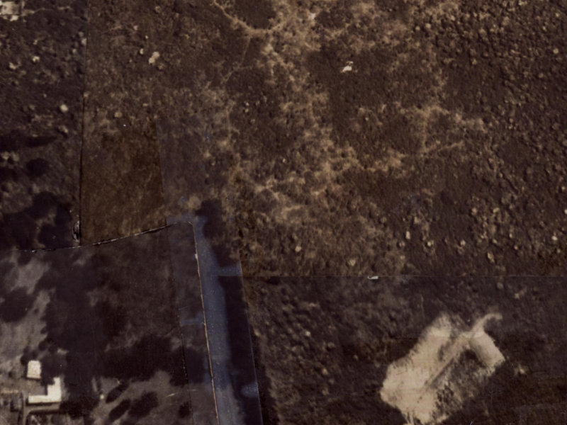 50 Pegasus Avenue from the air, 1925-1929