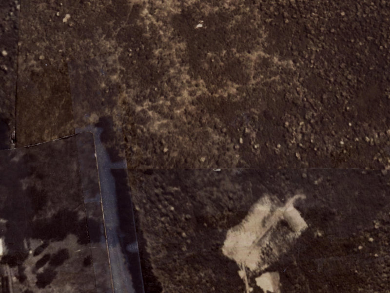 43 Pegasus Avenue from the air, 1925-1929