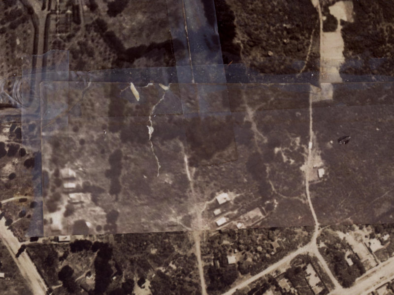 Woodgrove Avenue from the air, 1925-1929