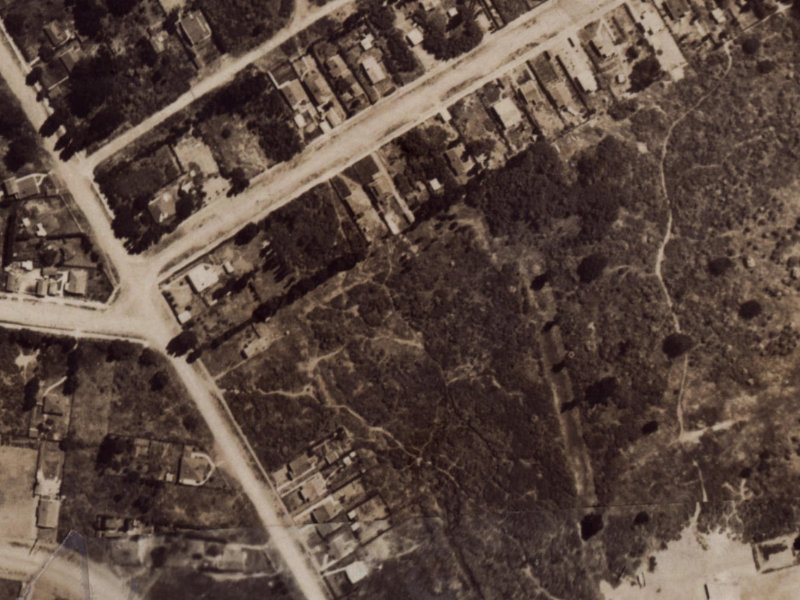 39 Leverett Place from the air, 1925-1929