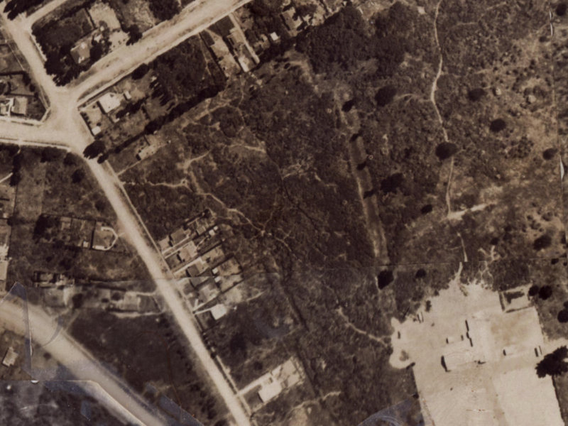 Leverett Place from the air, 1925-1929