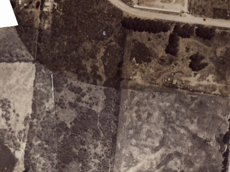 89 Willryan Avenue from the air, 1925-1929