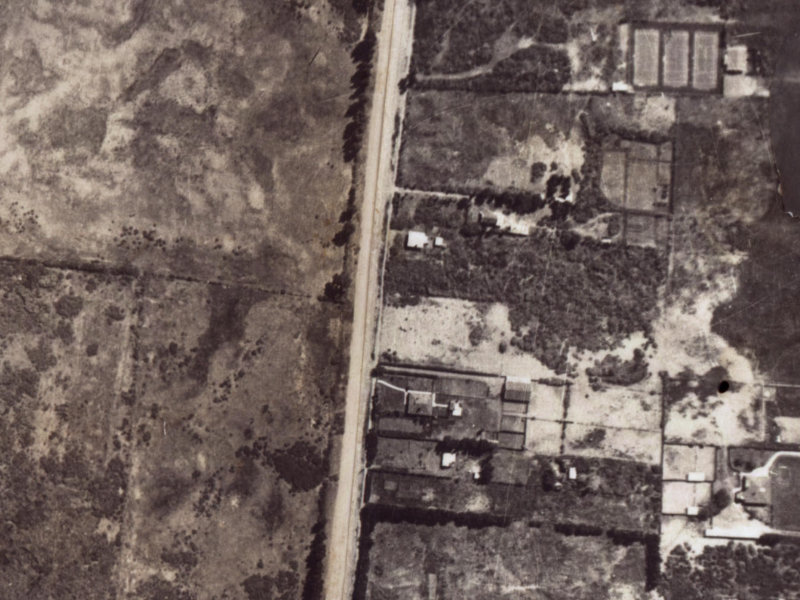 146 Bower Avenue from the air, 1925-1929