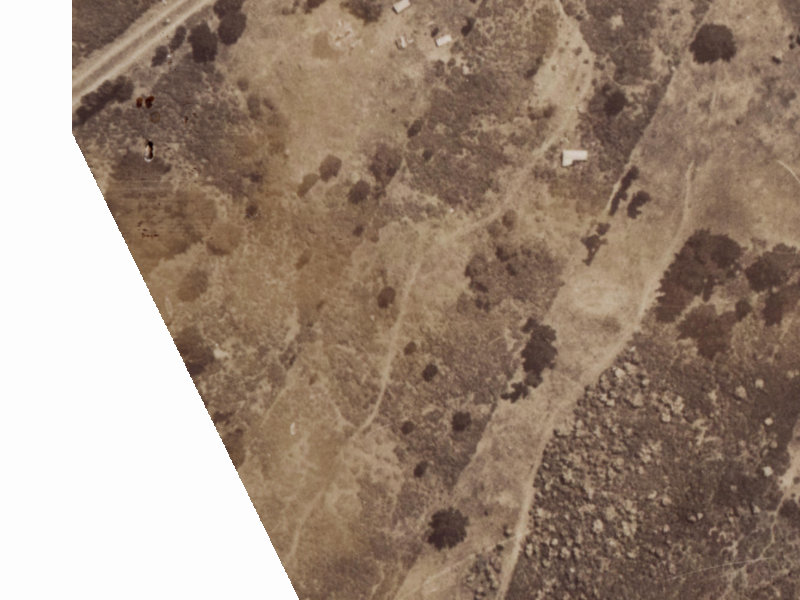 145 Hampshire Street from the air, 1925-1929