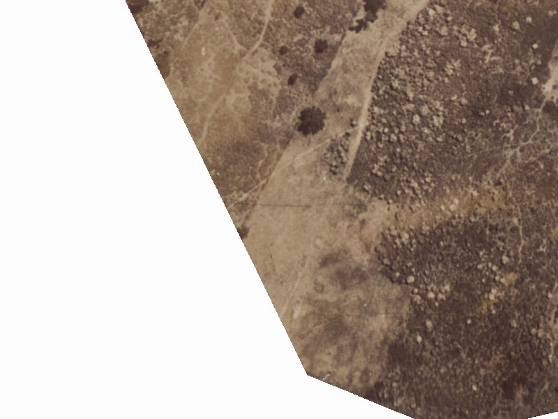 125 Hampshire Street from the air, 1925-1929