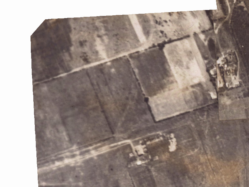 39 Wetlands Grove from the air, 1925-1929