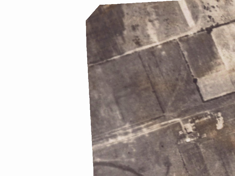 Wetlands Grove from the air, 1925-1929
