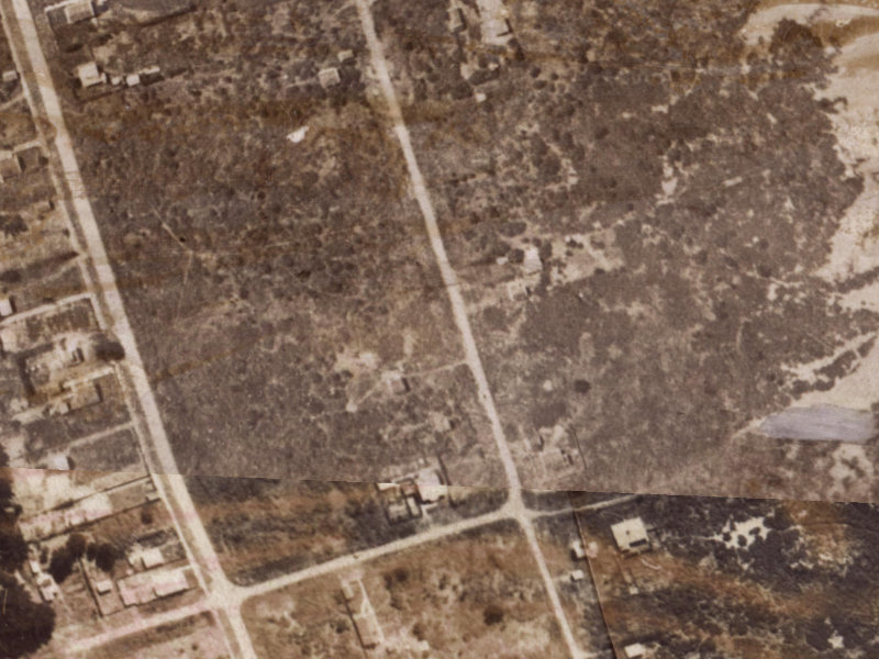 282 Pine Avenue from the air, 1925-1929