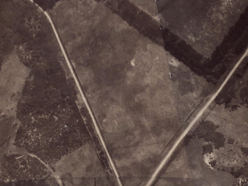 180 Ruru Road from the air, 1925-1929