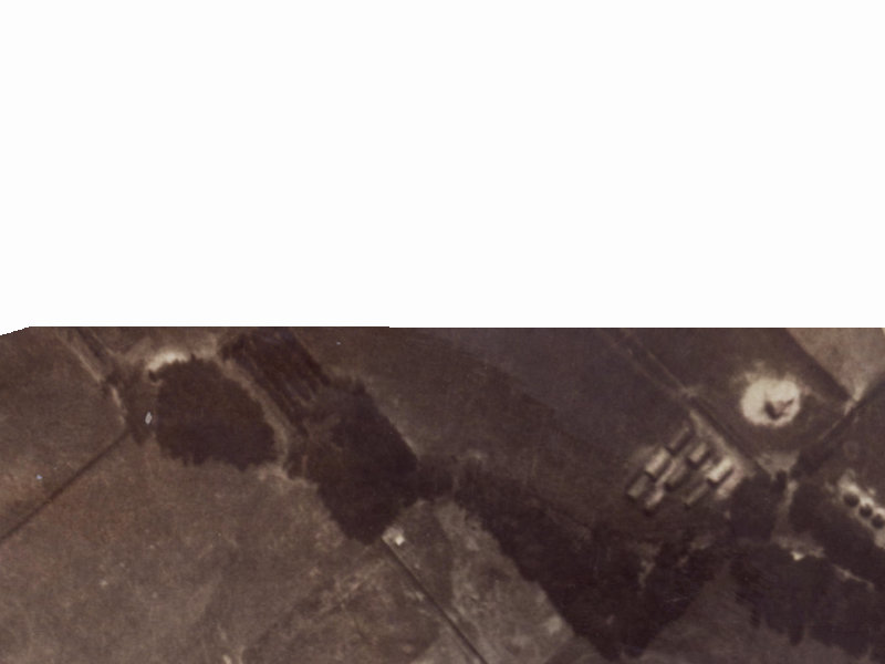 31 Mokihi Gardens from the air, 1925-1929