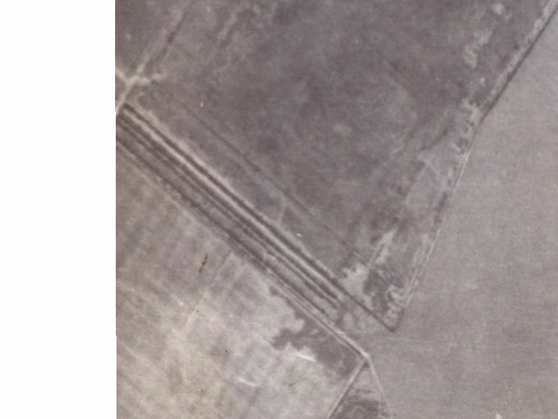 21 Humphreys Drive from the air, 1925-1929