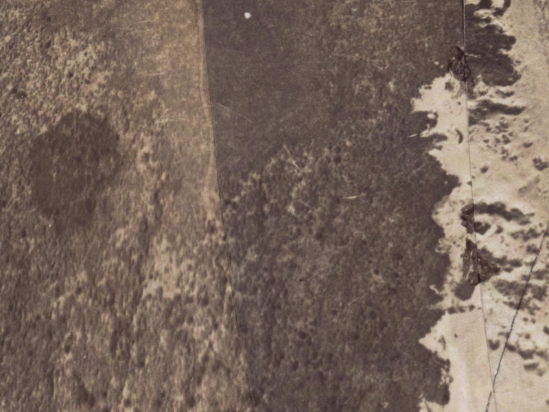 2 Pukeko Place from the air, 1925-1929