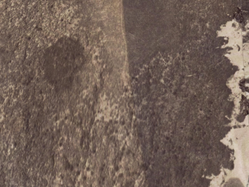 4 Pukeko Place from the air, 1925-1929