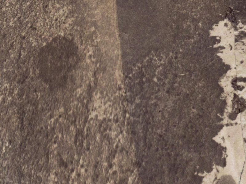 3 Pukeko Place from the air, 1925-1929