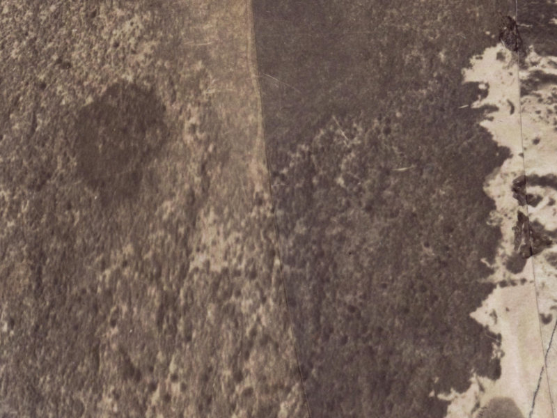 1 Pukeko Place from the air, 1925-1929