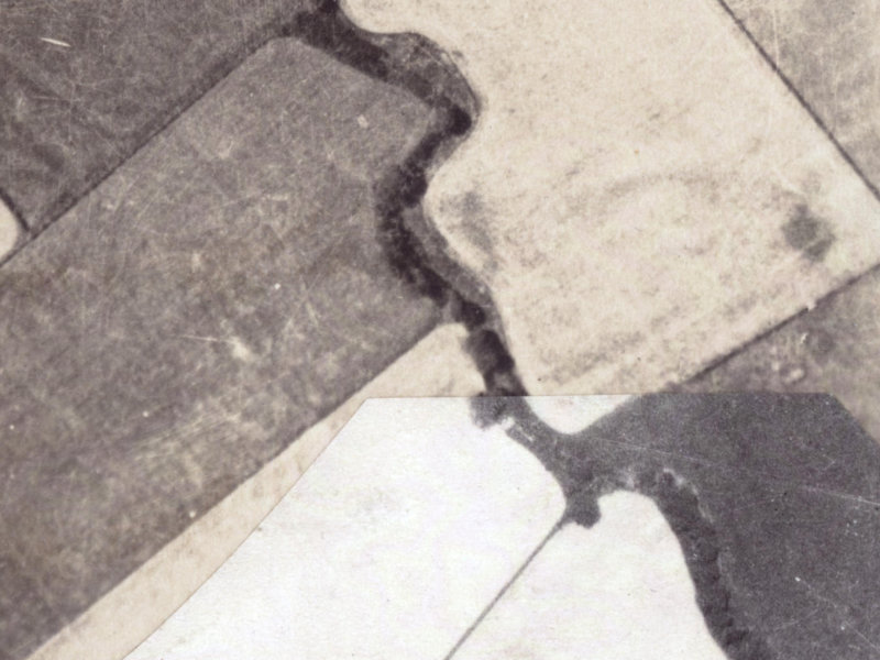 42 Mariposa Crescent from the air, 1925-1929