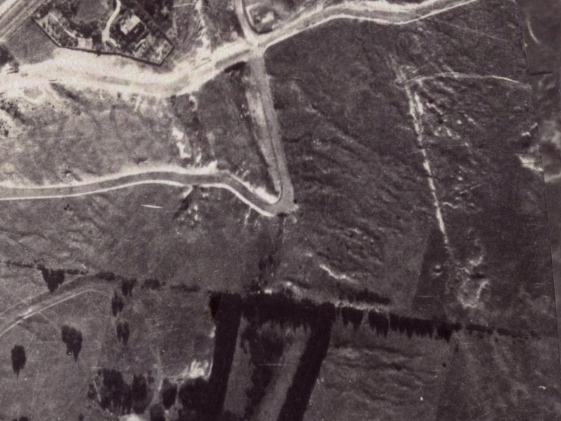 39 Te Awakura Terrace from the air, 1925-1929
