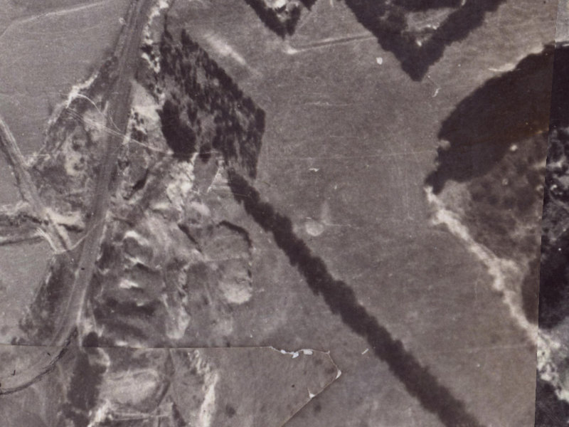 Balmoral Lane from the air, 1925-1929