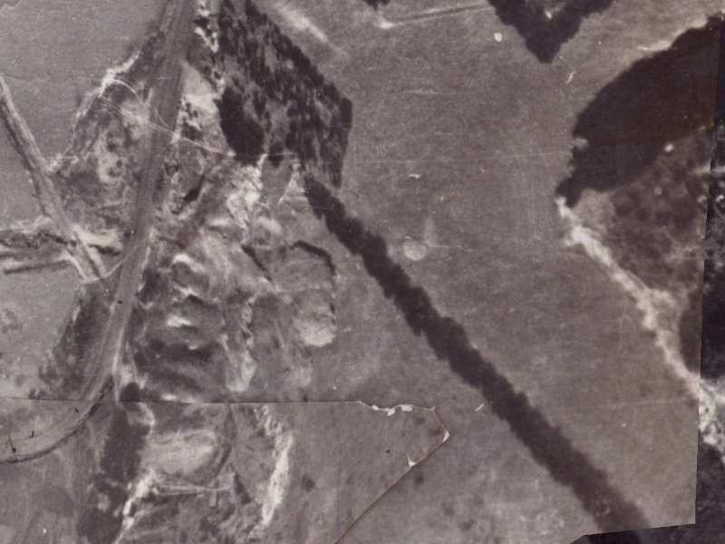 56 Balmoral Lane from the air, 1925-1929