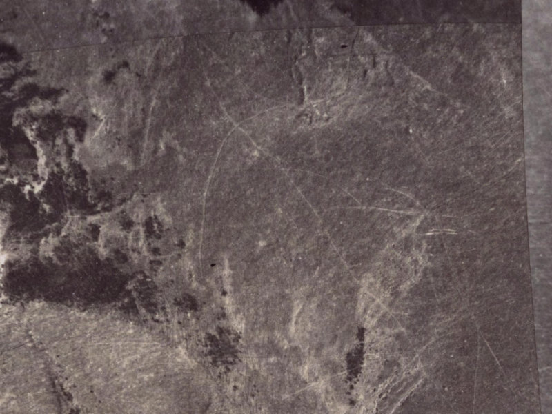 Cannon Hill Crescent from the air, 1925-1929