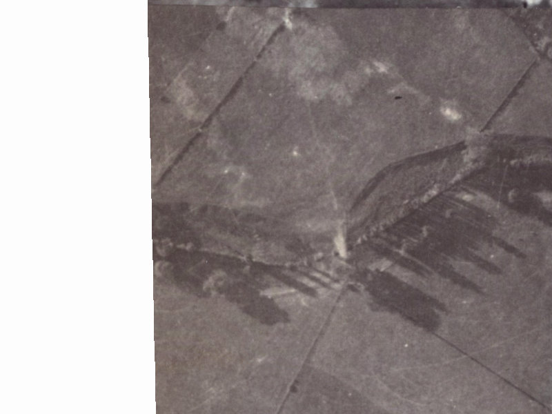 2 Ginaty Lane from the air, 1925-1929