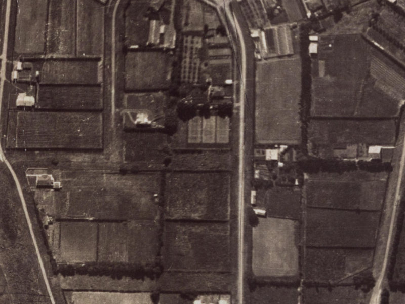 14 Roscoe Street from the air, 1925-1929