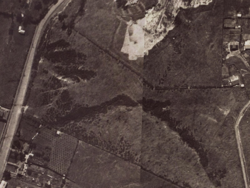 51 Parklands Drive from the air, 1925-1929