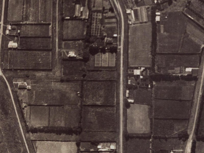 Roscoe Street from the air, 1925-1929