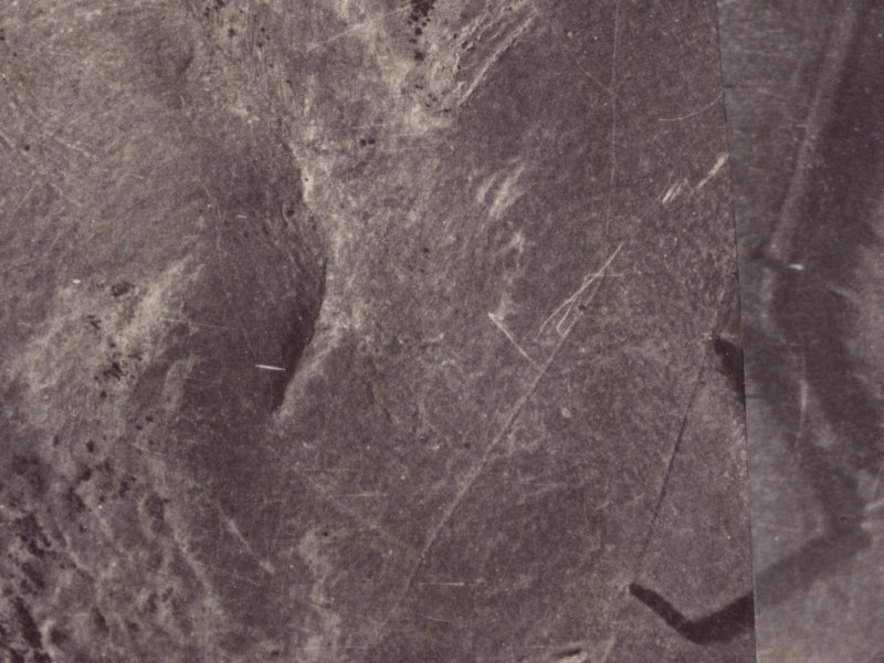 239 Cannon Hill Crescent from the air, 1925-1929